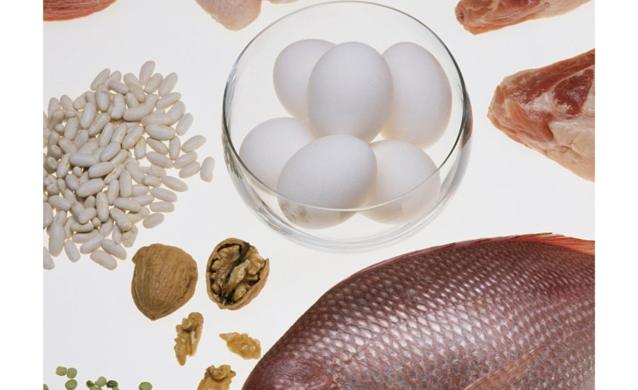 Proteins - Cheap Foods to Buy When you Need to Save Money