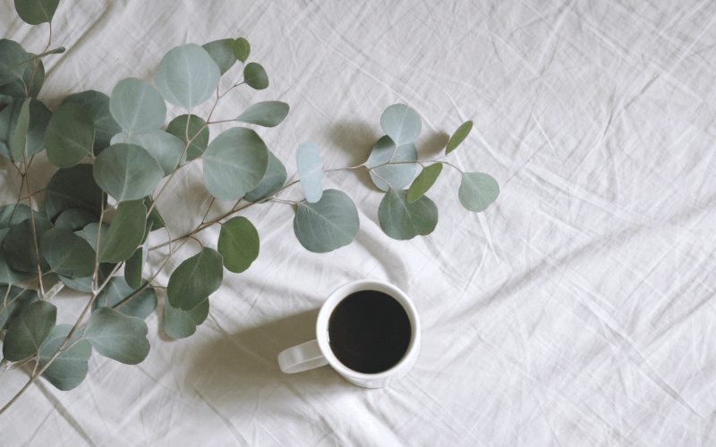 I Need Money Desperately - 10 Ways to Make Money When You Need it Now